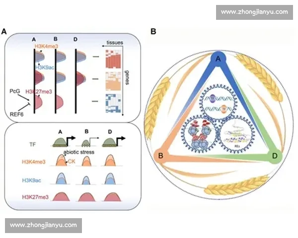 波尔图新星 M 费直言：梅西伟大但非球队核心，团队协作才是胜利之本